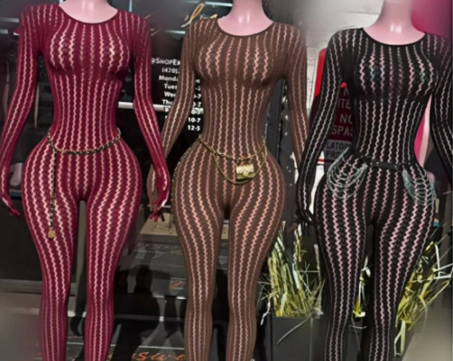 Mesh Stretchy See-through Bodycon Jumpsuit
