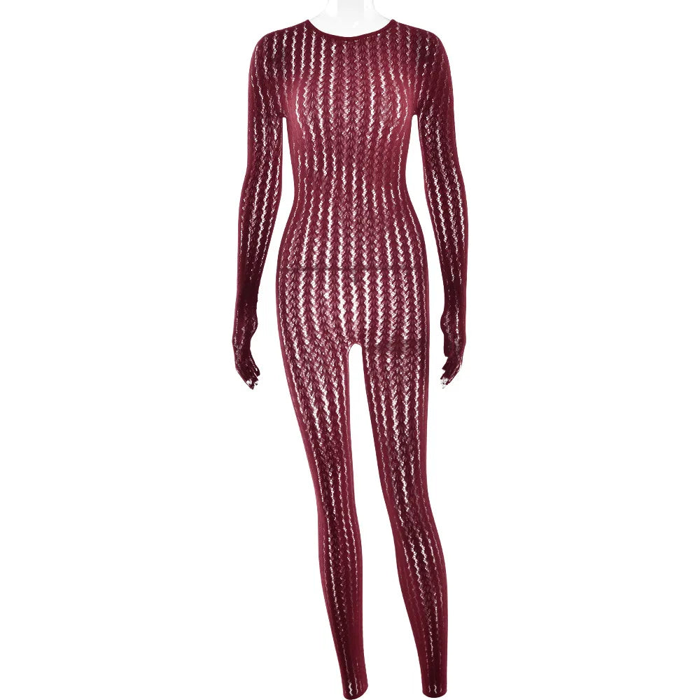 Mesh Stretchy See-through Bodycon Jumpsuit