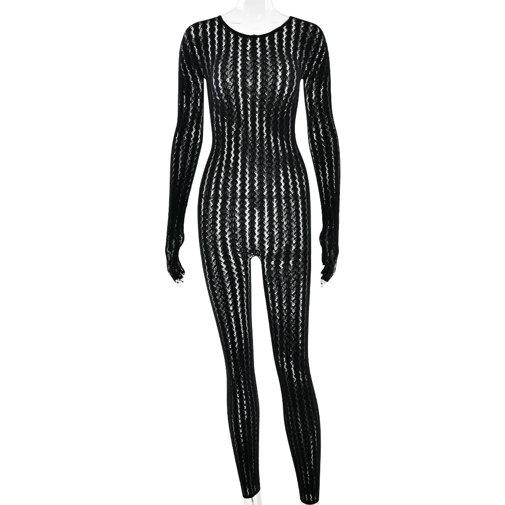 Mesh Stretchy See-through Bodycon Jumpsuit