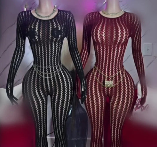 Mesh Stretchy See-through Bodycon Jumpsuit