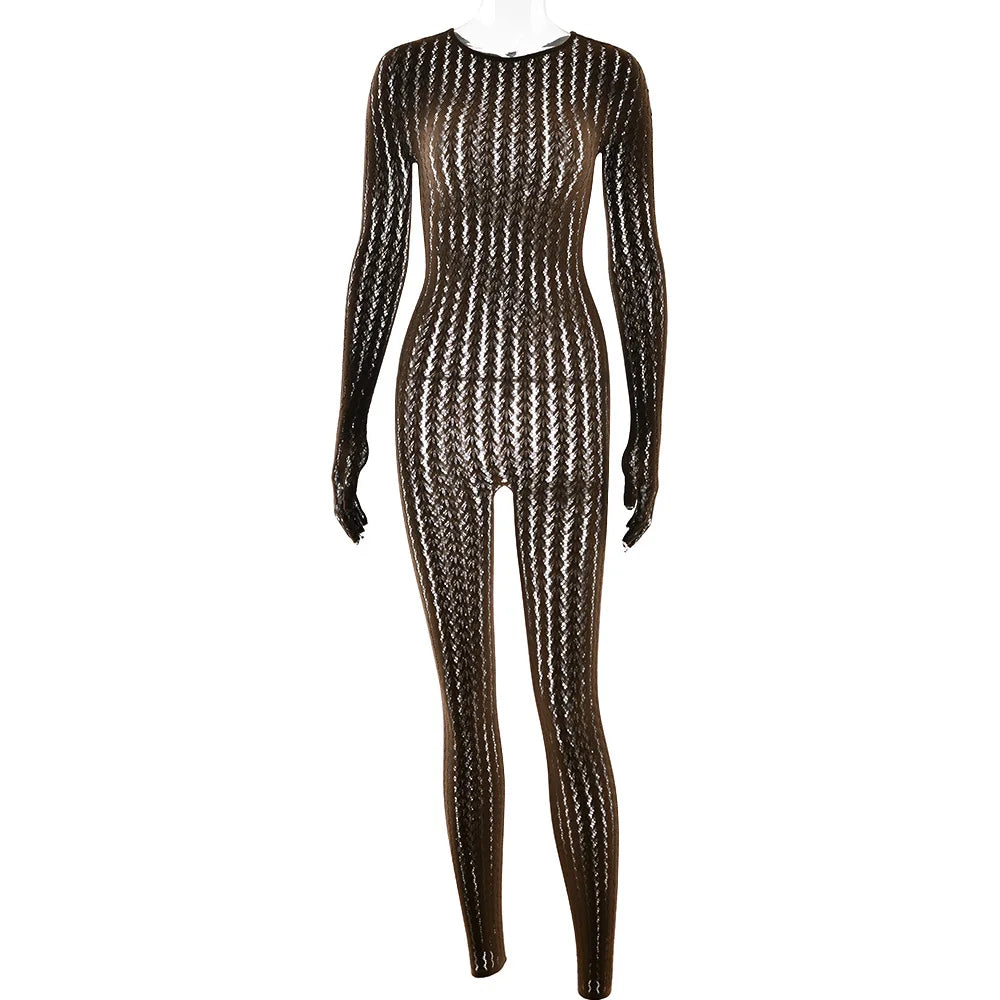 Mesh Stretchy See-through Bodycon Jumpsuit