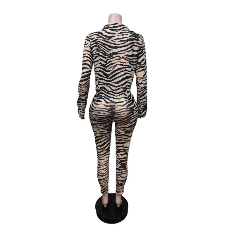 Mesh Zebra Print Pants Two-Piece Set