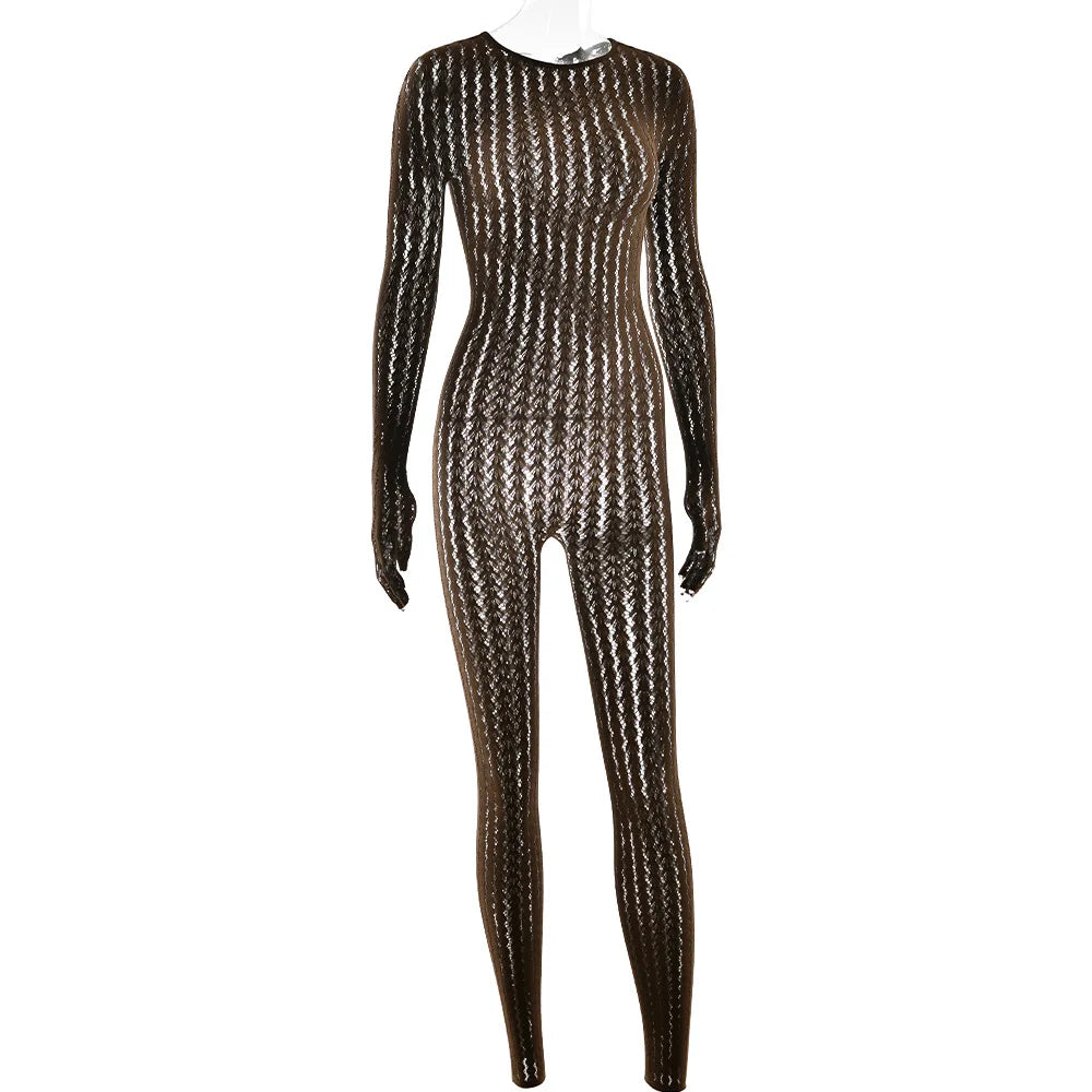 Mesh Stretchy See-through Bodycon Jumpsuit