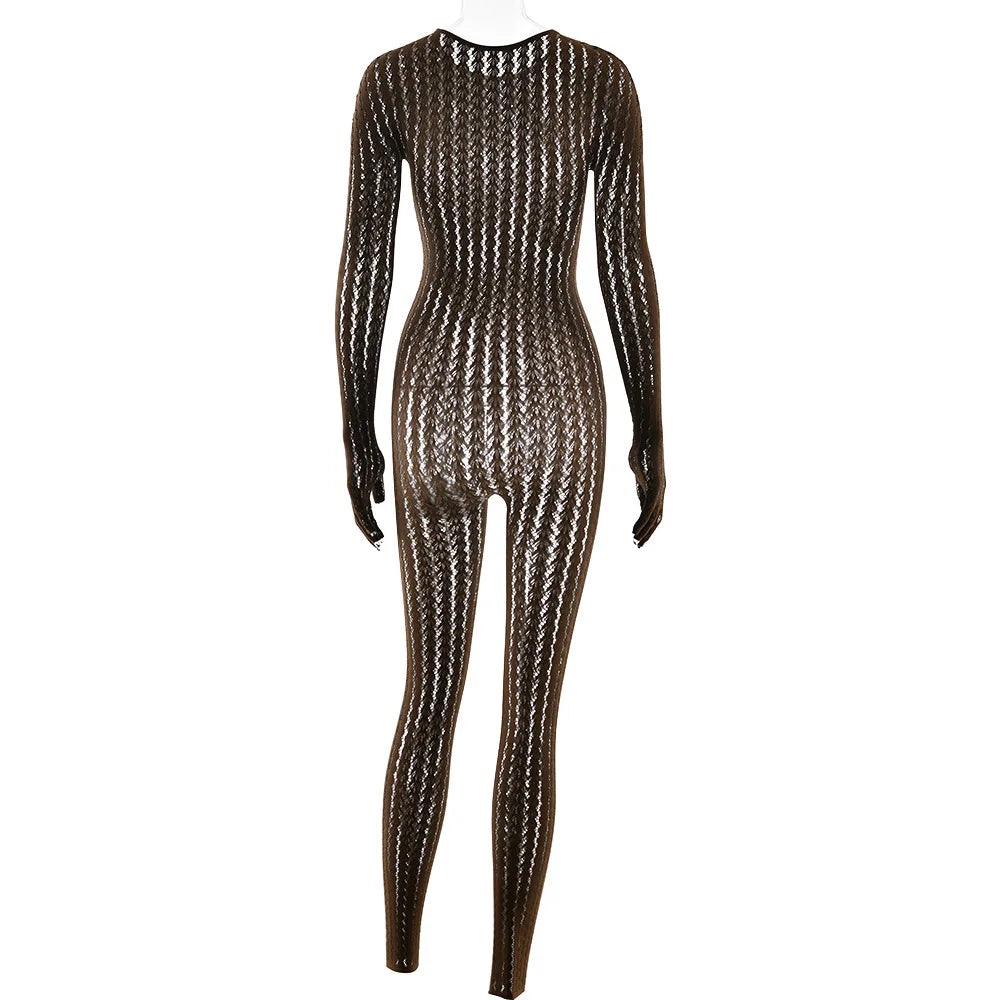 Mesh Stretchy See-through Bodycon Jumpsuit