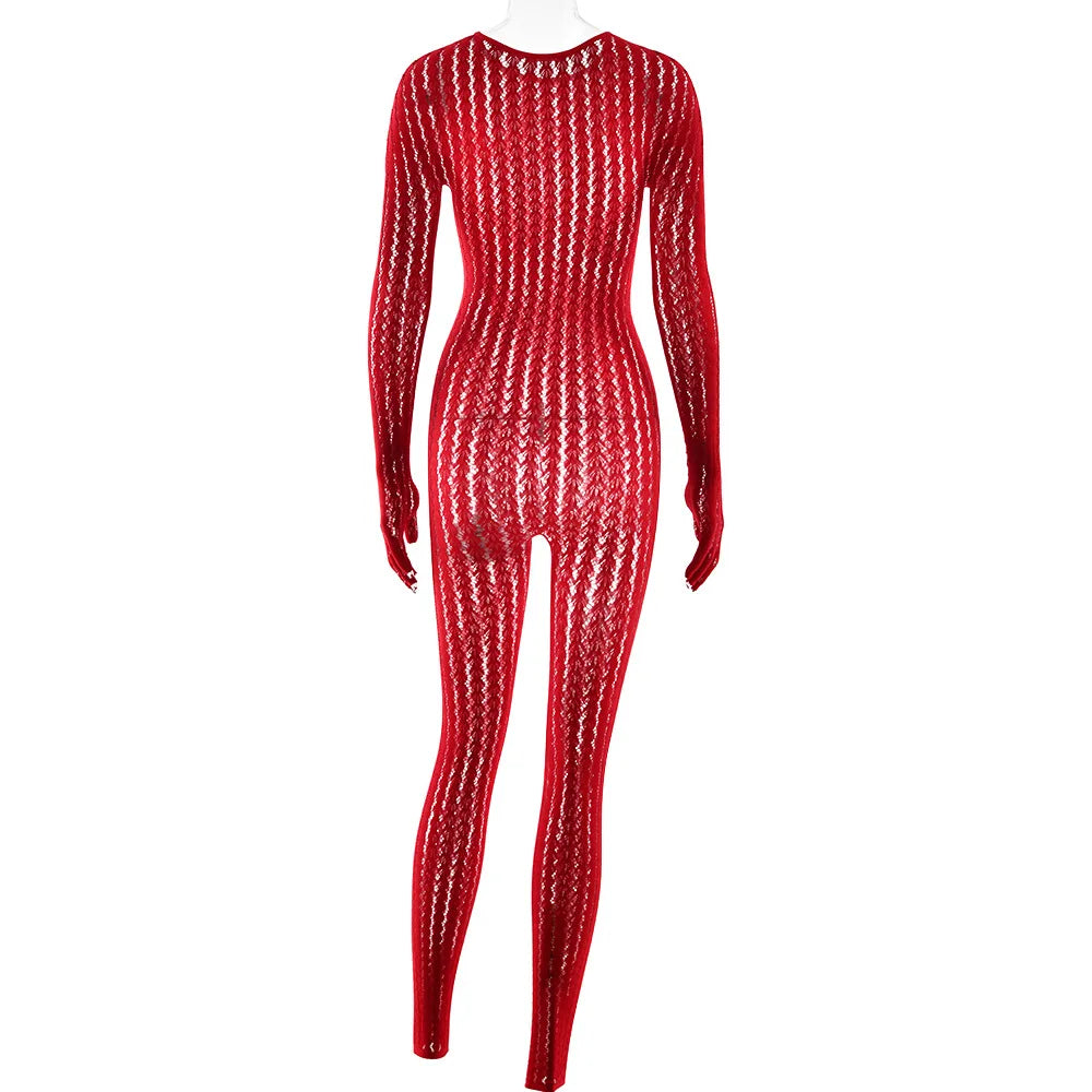 Mesh Stretchy See-through Bodycon Jumpsuit