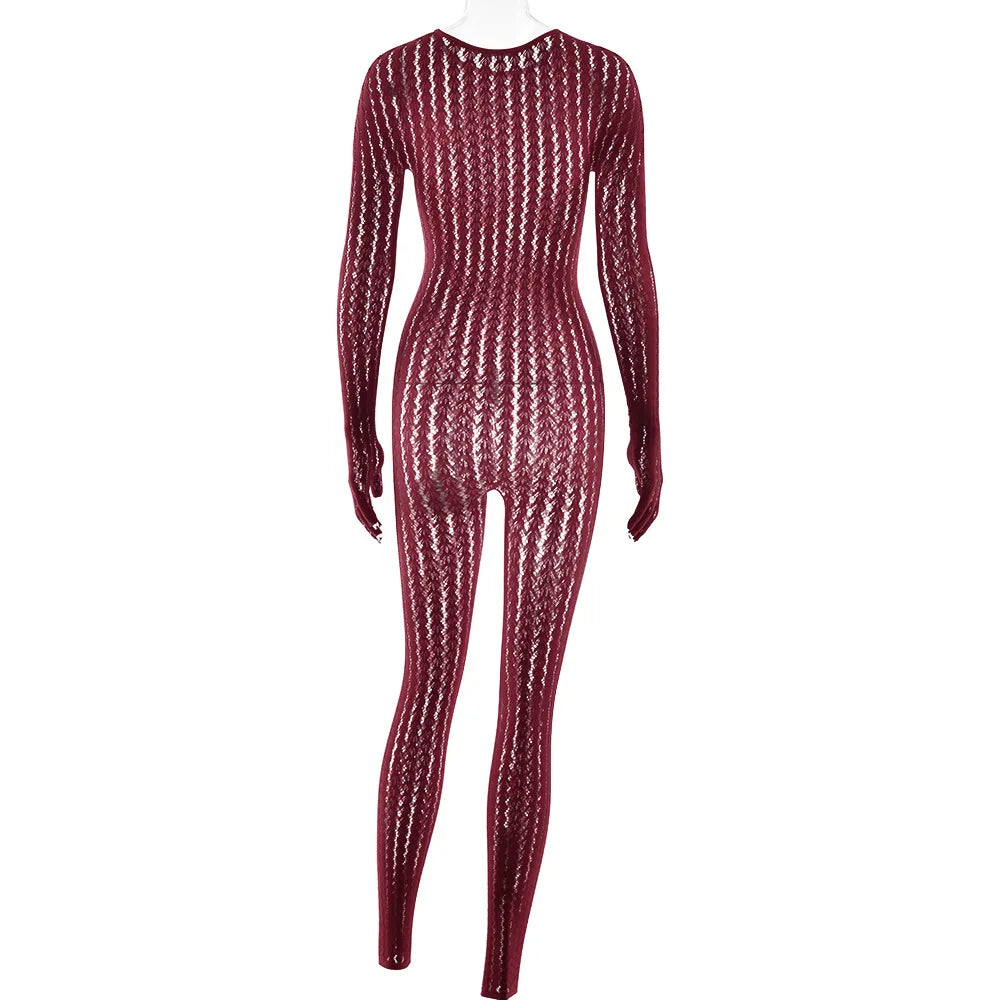 Mesh Stretchy See-through Bodycon Jumpsuit