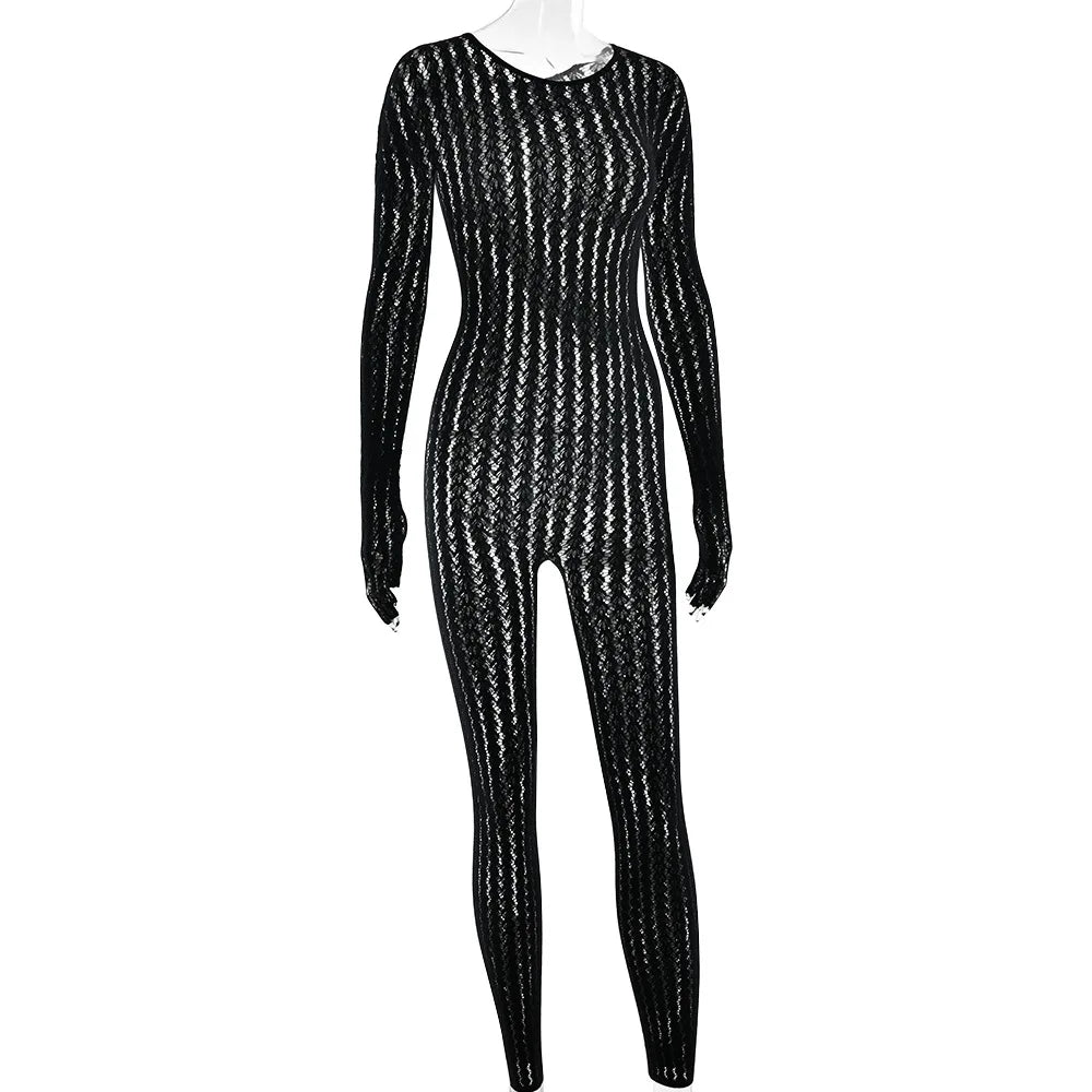 Mesh Stretchy See-through Bodycon Jumpsuit