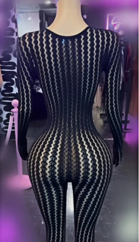 Mesh Stretchy See-through Bodycon Jumpsuit