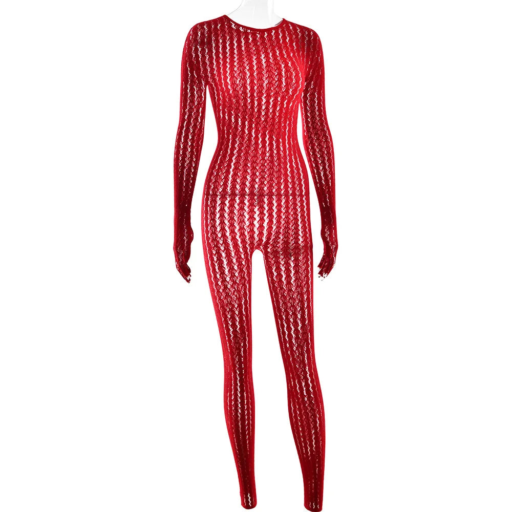 Mesh Stretchy See-through Bodycon Jumpsuit