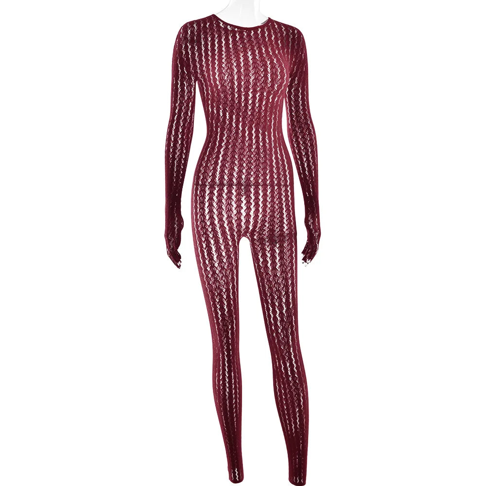 Mesh Stretchy See-through Bodycon Jumpsuit