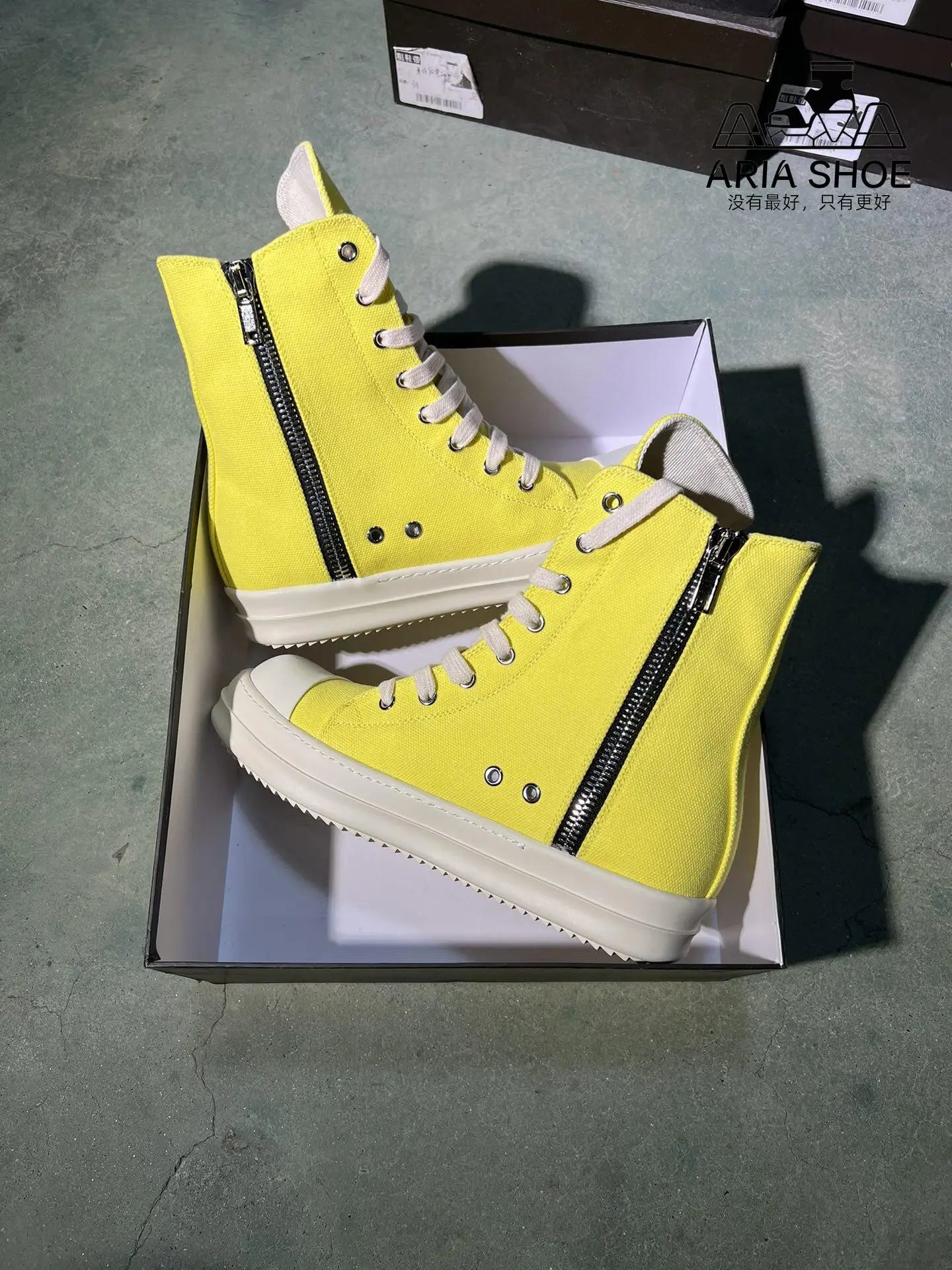 Yachty Lace-Up Flat Canvas Sneakers