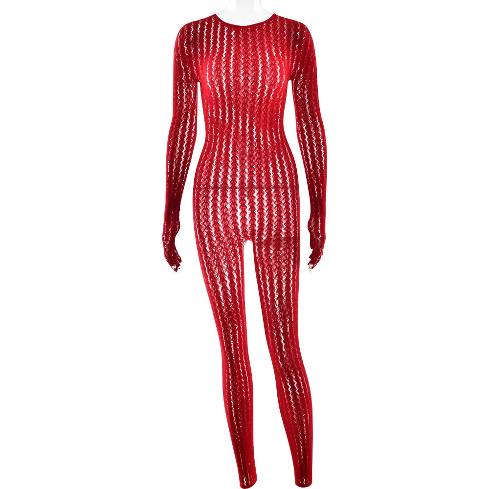 Mesh Stretchy See-through Bodycon Jumpsuit